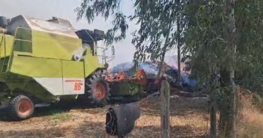 PAMJET/ Përfshihet nga flakët një fermë në Fier, digjen mjete bujqësore dhe një makinë