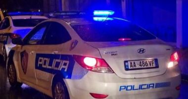 TRONDITET MEMALIAJ/ Të shtëna me armë, tre të vdekur, një i plagosur