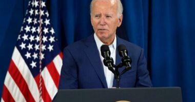ZGJEDHJET NË SHBA/ Joe Biden tërhiqet nga gara presidenciale