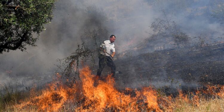 ZJARR NË KAVAJË/ Drejtori i MZSH: Më shumë se 10 hektarë në flakë. Dy të arrestuar
