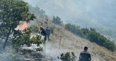ZJARR NË TROPOJË DHE HAS/ Zjarrfikëset ndërhyjnë për shuarjen e flakëve