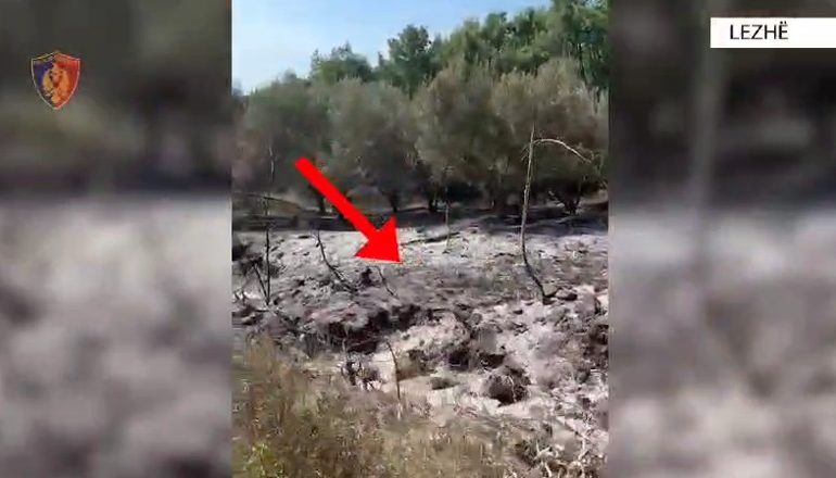 NDEZI ZJARR PËR TË DJEGUR MBETURINAT, POR FLAKËT…/ Arrestohet 33-vjeçari në Lezhë