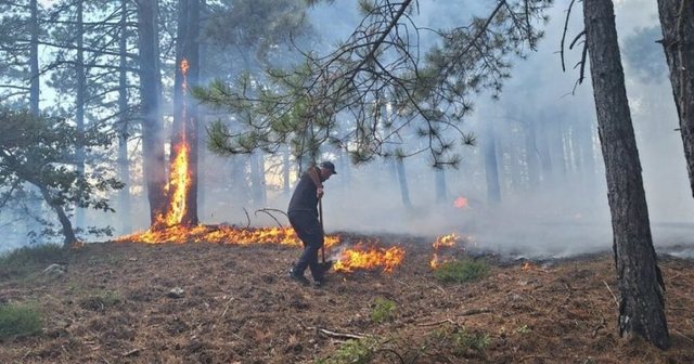 ZJARR MASIV NË MIRDITË/ Flakët shkrumbojnë dy banesa, rrezikojnë edhe të tjera