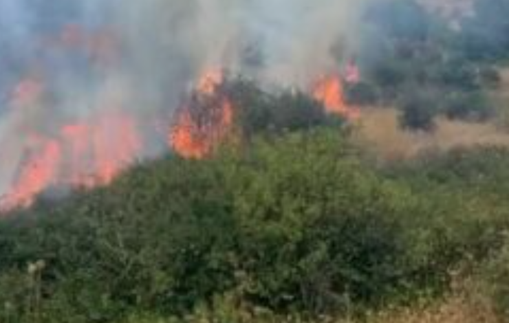 TRAGJIKE NË MAT/ I vuri zjarrin tokës, por u dogj dhe vetë, humb jetën në spital i moshuari