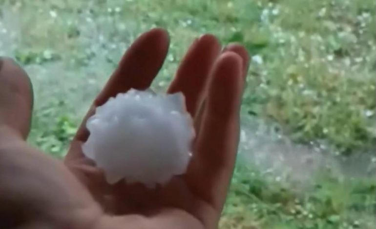 PAMJET/ Breshër sa një kokërr arre në Gjinar të Elbasanit, dëme të mëdha për fermerët
