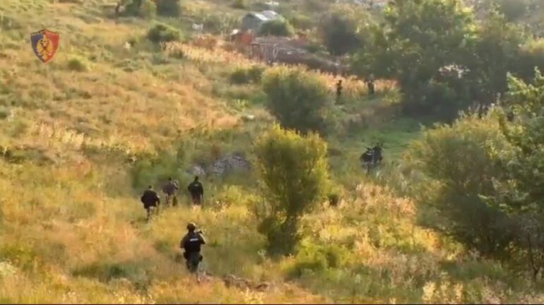 AKSION I PËRBASHKËT ME MALIN E ZI/ Dalin PAMJET nga operacioni ku u sekuestruan 11 mijë bimë kanabisi