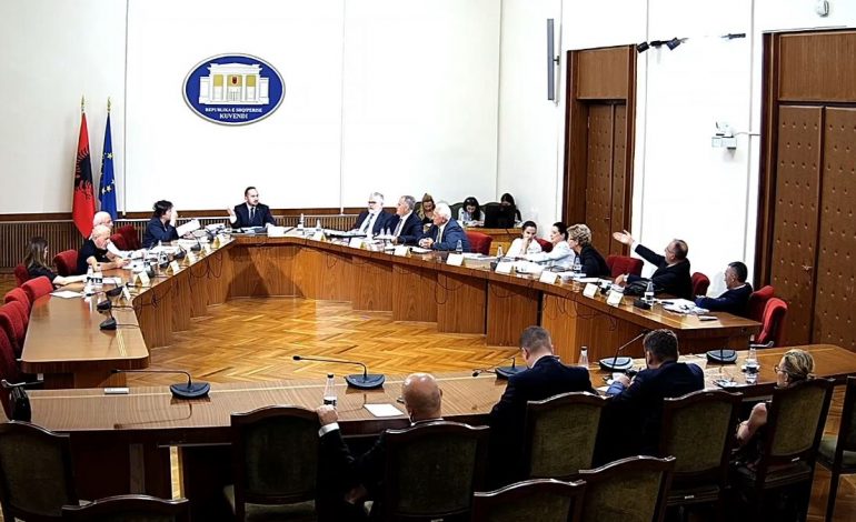 MAZHORANCA DHE OPOZITA TË NDARË NË TIMS/ Dy raporte në Kuvend për hetimin parlamentar