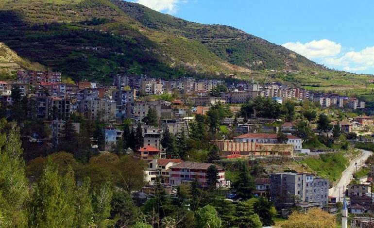 NDODH NË SKRAPAR/ 34-vjeçarja braktis fëmijët e mitur dhe largohet jashtë vendit, denoncohet nga bashkëshorti