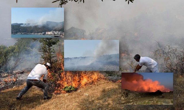 ZJARRET NË VEND/ Ministria e Mbrojtjes publikon të dhënat: Janë shuar 13 vatra nga 20, vijon puna për shuarjen në disa zona