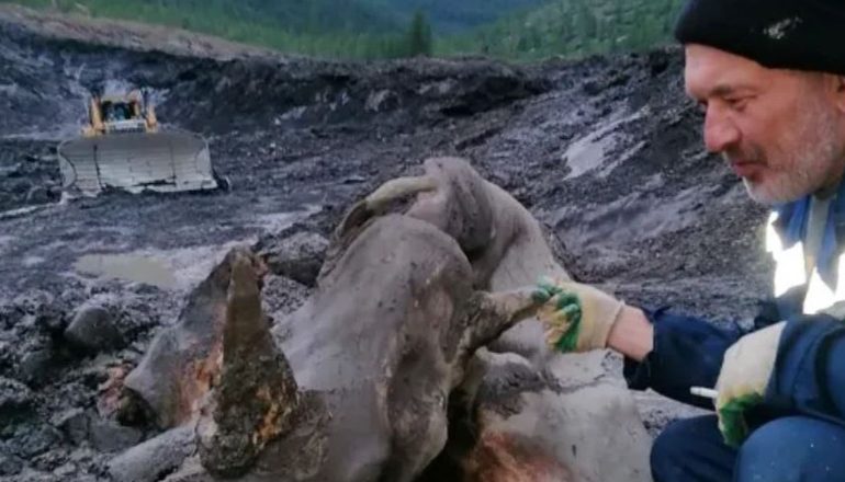 PO GËRMONIN PËR AR/ ‘Gjuetarët’ e thesareve bëjnë zbulimin prehistorik