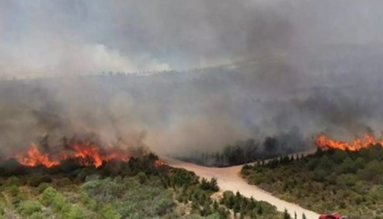 TURQIA NË FLAKË/ Zjarret përhapen në provincën perëndimore të Izmirit! Evakuohen banorët