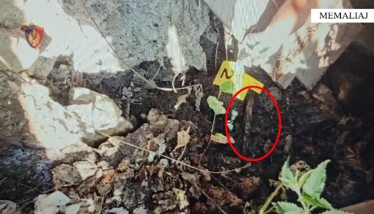 PAMJET/ Gjendet thika me të cilin u vra 72 vjeçari në Memaliaj! Krimi u nxit nga çifti në banesën ngjitur