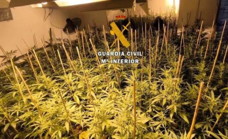 PUNONIN NË “SHTËPI BARI”/ Arrestohen shqiptarët në Spanjë, sekuestrohen mbi 20 kg drogë dhe armë zjarri