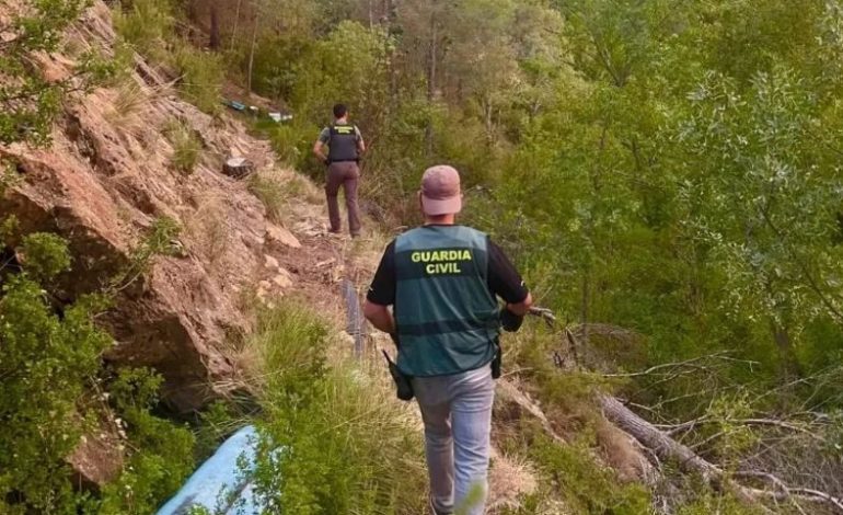 MBOLLËN KANABIS NË PYLL/ Arrestohet 44-vjeçari shqiptar në Spanjë, në kërkim bashkëpunëtori i tij