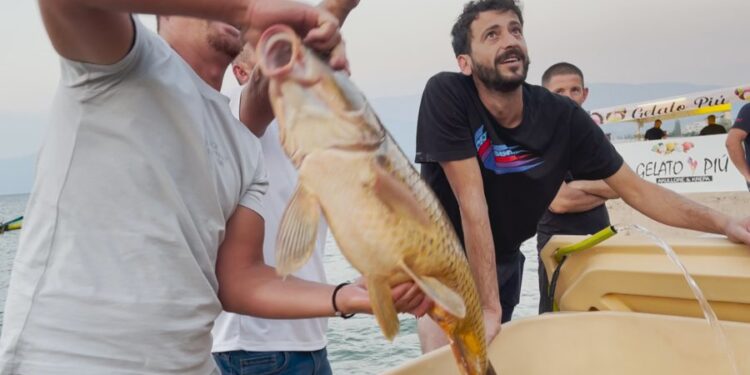 SYNOHET TË KTHEHET NË AKTIVITET TË PËRVITSHËM/ Pogradeci organizon festivalin e parë të peshkatarëve në vend