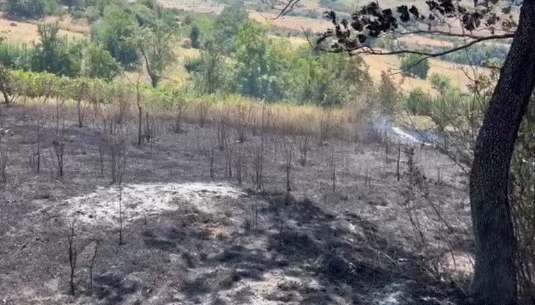 PAMJET/ Zjarr në fshatin Kurqele të Klosit, flakët rrezikuan banesat
