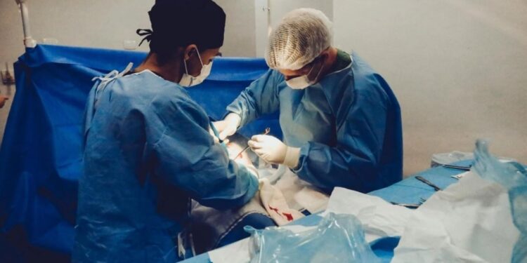 ZBULOHET NGJARJA HORROR/ Mjeku vriste pacientët për t’u hakmarrë ndaj kolegëve të tij