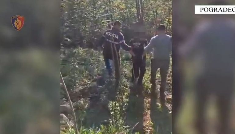 KULTIVONTE BIMË NARKOTIKE/ Policia arreston 31 vjeçarin në Pogradec (EMRI)