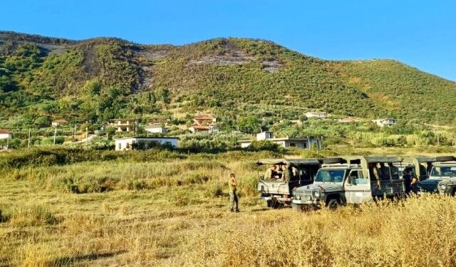 SHUHEN ZJARRET NË FINIQ DHE DELVINË/ Vijon monitorimi i situatës