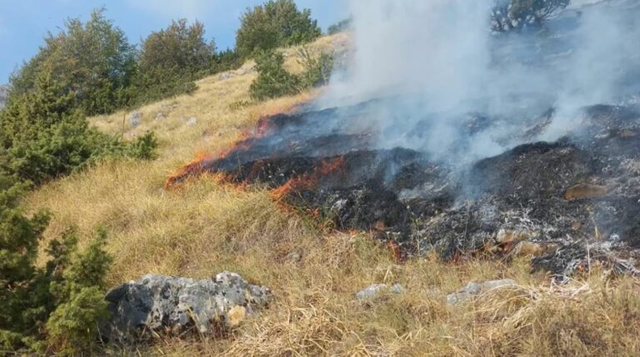 SITUATA E ZJARRRVE/ Operacion i madh për shuarjen e flakëve në Malin e Thatë, helikopteri në aksion për lokalizimin e tyre