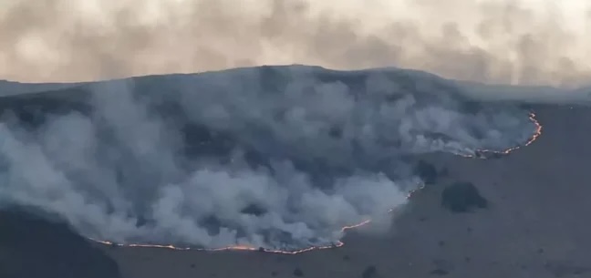PËRKEQËSOHET SITUATA NË PRESPË/ Flakët përfshijnë Parkun Kombëtar, kërkohet ndërhyrje urgjente nga ajri