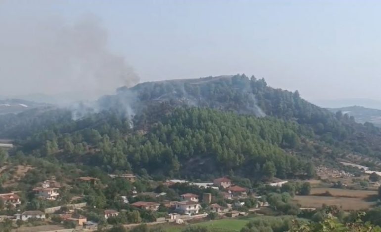 RËNDOHET SITUATA/ Vijon të jetë aktiv zjarri në kodrën e Lekajt në Lushnjë, terreni i thyer vështirëson ndërhyrjen