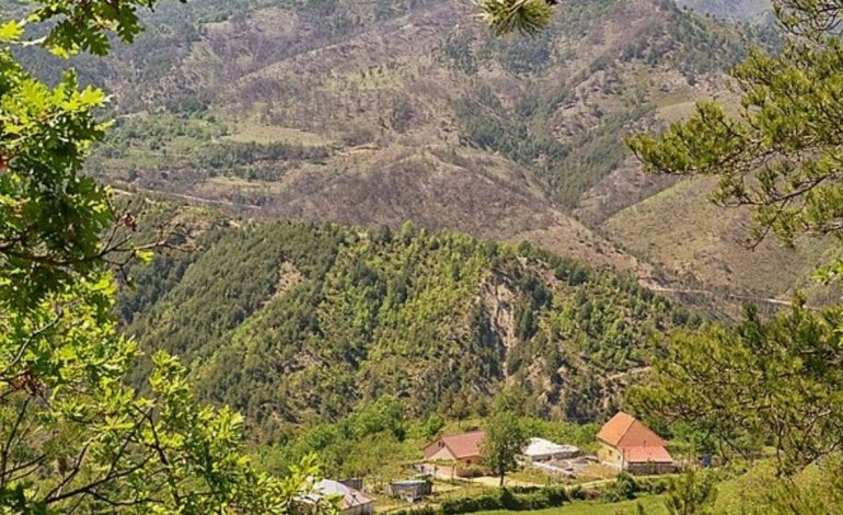 U GJET I VRARË NGA E BIJA/ Zbardhet konflikti i disa viteve më parë i 68-vjeçarit në Mirditë, e kërcënonin…
