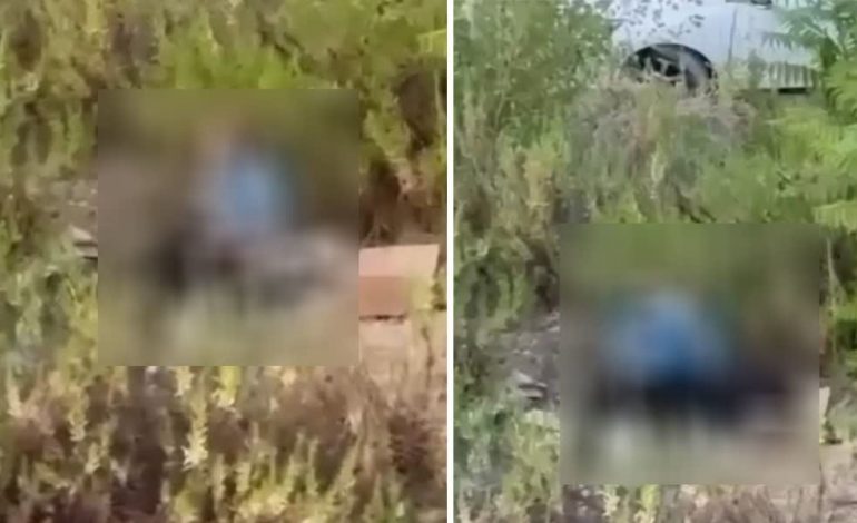 SKANDAL NË TIRANË/ Burri kryen marrëdhënie seksuale me qenin e pastrehë