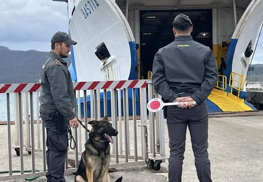 SHKATËRROHET RRJETI NDËRKOMBËTAR I KOKAINËS/ Dy shqiptarë në zinxhirin e krimit