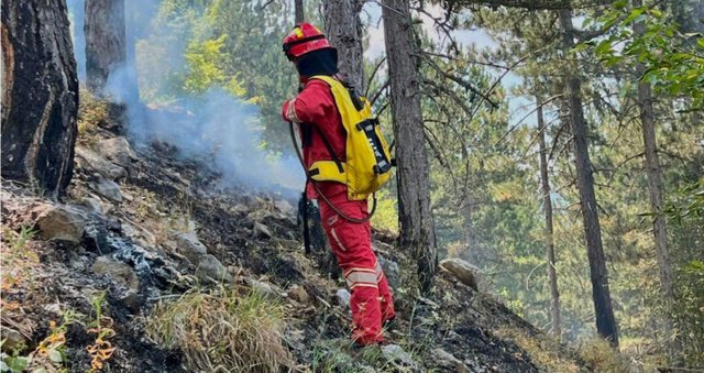 SITUATA E ZJARREVE/ Ministria e Mbrojtjes publikon të dhënat e 24 orëve të fundit: Janë shuar 22 vatra nga 28