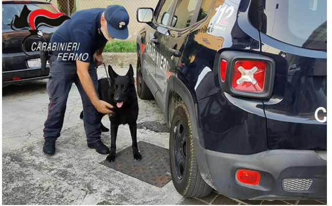 TRAFIK NDËRKOMBËTAR DROGE/ Operacion masiv në Marche. 10 të arrestuar, mes tyre shumë shqiptarë