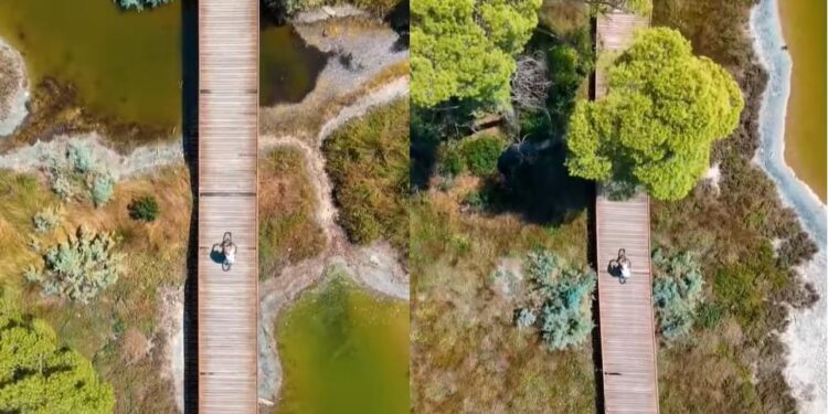 PAMJE MAHNITËSE NGA PARKU KOMBËTAR DIVJAKË-KARAVASTA/ Rama: 67 mijë turistë e vizituan në korrik