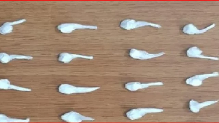 E PËSOJNË KEQ/ Shisnin kokainë në lokalet e natës, arrestohen dy 19-vjeçarë në Durrës