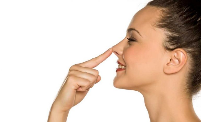 ÇFARË TREGON HUNDA PËR SHËNDETIN TUAJ? Shtatë shenjat që duhet të keni kujdes