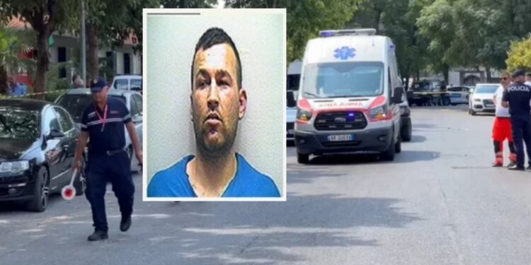 U EKZEKUTUA ME 14 PLUMBA/ E shkuara kriminale e 36-vjeçarit konfuzon punën e policisë