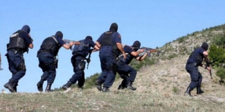 NDODH NË SHKODËR/ Hapet zjarr ndaj Policisë gjatë kontrolleve për kanabis, ndërhyn RENEA dhe FNSH