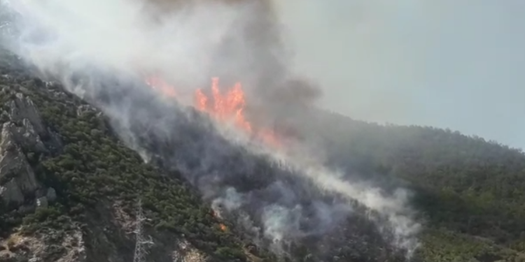 SITUATA ME ZJARRIN/ Dita e gjashtë, flakët në pyjet e Maliqit mbeten aktive, terreni vështirëson punën e zjarrfikësve