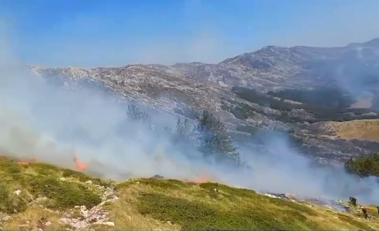 ZJARRI NË MALIN E THATË DHE POGRADEC/ Ja si paraqitet situata (PAMJET)