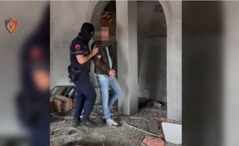 KULTIVONIN KANABIS/ Arrestohen pesë persona në Peqin (EMRAT)