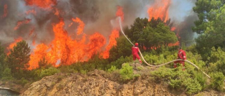ZJARRET/ Ministria e Mbrojtjes publikon të dhënat e fundit: U raportuan 27 vatra në 24 orë, pesë ende aktive