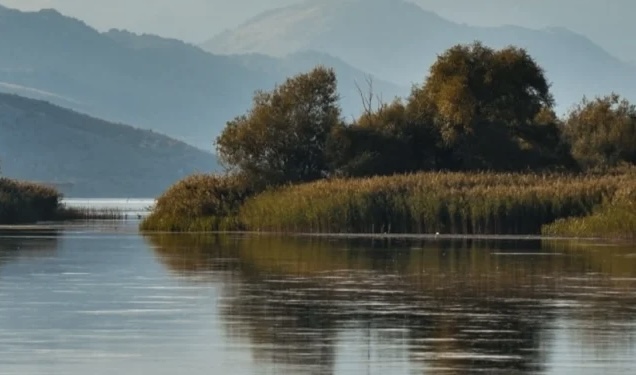 TRAGJIKE NË SHKODËR/ 18-vjeçari mbytet teksa lahej në lumin Buna (EMRI)