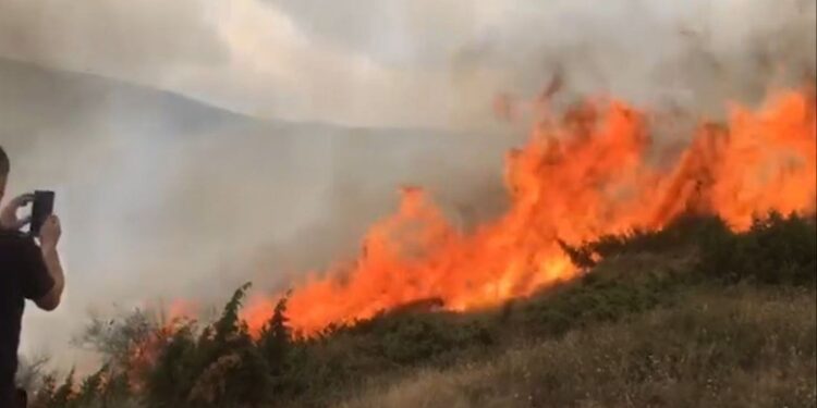 ZJARR NË FSHATIN NOVOSEJË TË KUKËSIT/ Terreni i thyer vështirëson shuarjen e flakëve