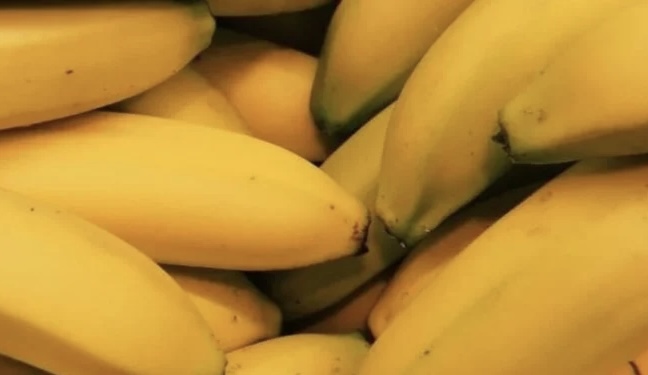 NDODH DHE KJO! Trafikantët ngatërrojnë paletat, bananet me kokainë përfundojnë në markete