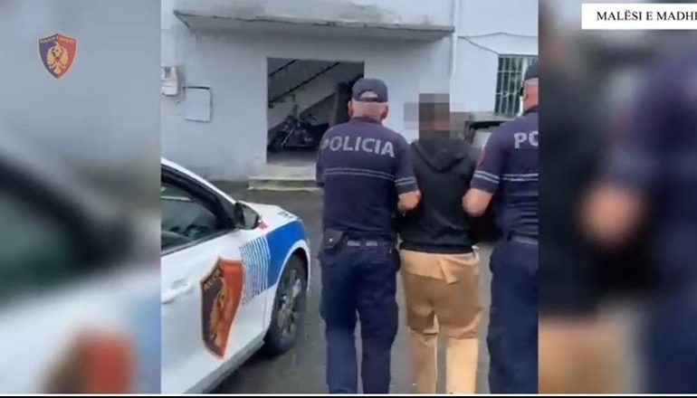 NDODH NË MALËSI TË MADHE/ Tentoi t’i vidhte nën kërcënimin e armës së zjarrit bagëtitë, arrestohet 27-vjeçari