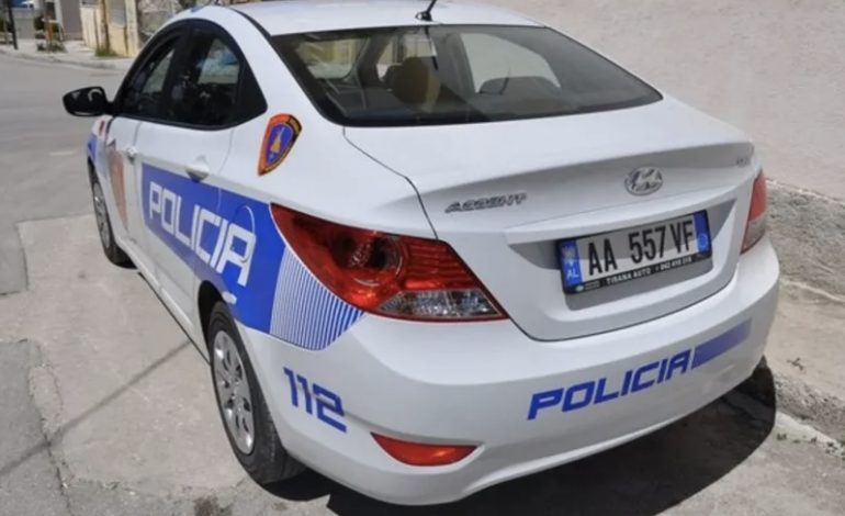 PLAGOSJA E DYFISHTË NË MALËSI TË MADHE/ Zbardhen detaje, gjithçka ndodhi në hyrje të një lokali