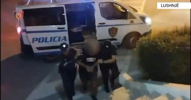 VIJON “TEMPULLI”/ Shpërndanin kanabis dhe heroinë, dy të arrestuar në Lushnje