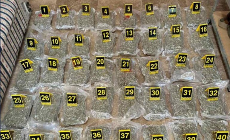 KAPEN 66 KILOGRAM MARIJUANË NË MAL TË ZI/ Trafikantët arratisen në Shqipëri