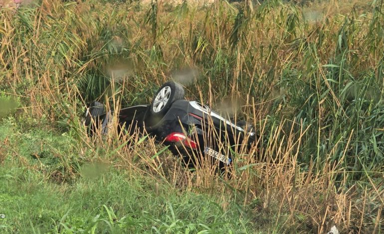 E FRIKSHME/ Aksident i trefishtë në autostradën Rrogozhinë-Lushnje! Plagosen 3 persona, shkak dyshohet…