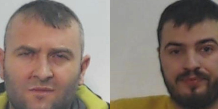 PUNONIN NË SHTËPI BARI NË SKOCI/ Arrestohen dy të rinjtë, sekuestrohen mijëra bimë kanabis (EMRAT)