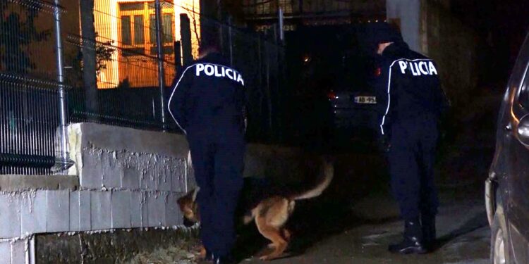 TRONDITET SARANDA/ 65-vjeçari vritet në oborrin e banesës me shishe qelqi! Arrestohet autori i dehur